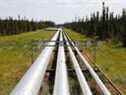 Des pipelines traversent la forêt à l'exploitation de sables bitumineux Cenovus Foster Creek SAGD près de Cold Lake, en Alberta. 