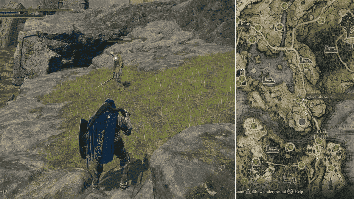 Image fractionnée montrant une carte et un soldat qui est en fait un petit ours runique déguisé