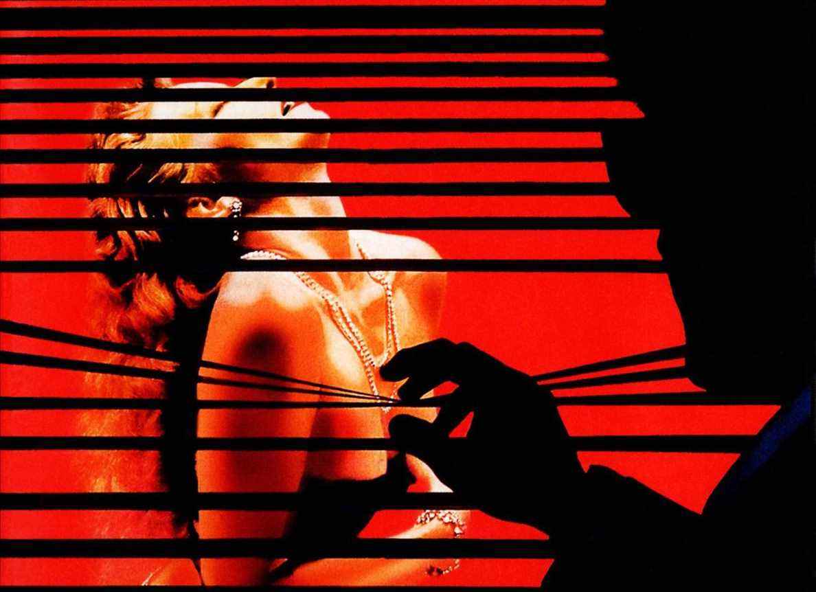 Détail de la photo de la couverture du DVD de l'édition Twilight Time Body Double de Brian De Palma, avec un homme silhouetté regardant à travers les stores une femme légèrement vêtue tenant ses seins
