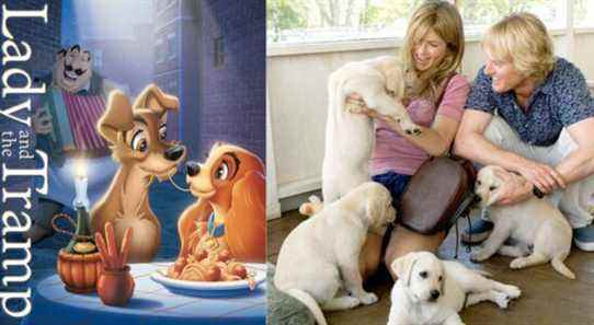 Lady and the Tramp and Marley And Me