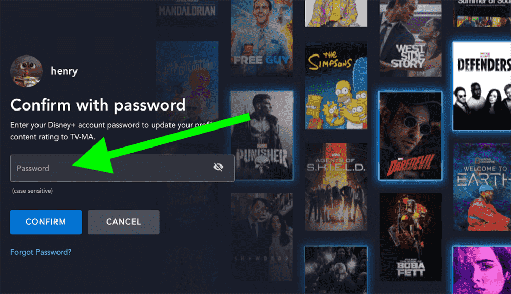 le champ Mot de passe est mis en surbrillance sur un écran de connexion Disney Plus pour configurer les contrôles parentaux pour le contenu TV-MA