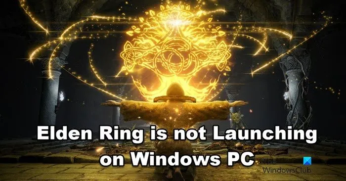 Elden Ring ne se lance pas sur un PC Windows