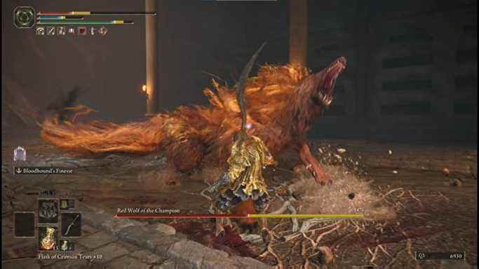 Le personnage du joueur combattant le loup rouge du champion, un boss d'Elden Ring qui ressemble à un loup géant, avec une longue fourrure rouge