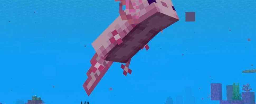 La mise à jour 1.17 de Minecraft lance des axolotls et des chèvres et plus la semaine prochaine