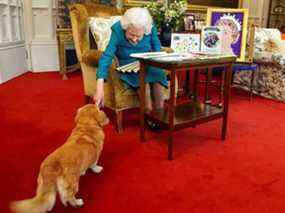 Une photo publiée à Londres le 4 février 2022 montre la reine Elizabeth II caressant Candy, elle un chien Dorgi, alors qu'elle regarde une exposition de souvenirs de ses jubilés d'or et de platine, dans la salle Oak du château de Windsor, à l'ouest de Londres .