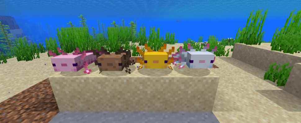 Le mod Minecraft transforme les axolotls en explosifs yeetables