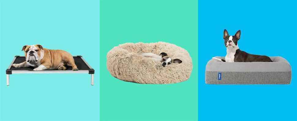 Les 8 meilleurs lits pour chiens, selon les experts canins