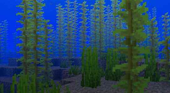 minecraft undersea kelp