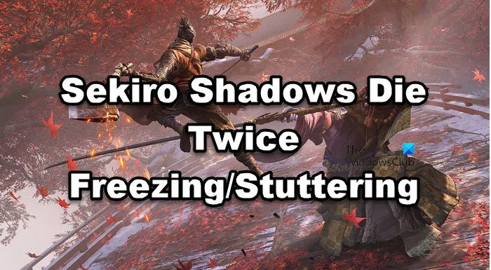 Sekiro Shadows Die Twice Freezing / Stuttering