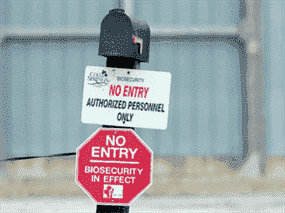 Un panneau à l'entrée d'un élevage de dindons dans le comté d'Oxford en Ontario en 2015 informe les visiteurs des mesures de biosécurité renforcées à la suite d'une épidémie de grippe aviaire.  Une nouvelle souche de grippe aviaire a été découverte dans trois fermes du sud de l'Ontario.