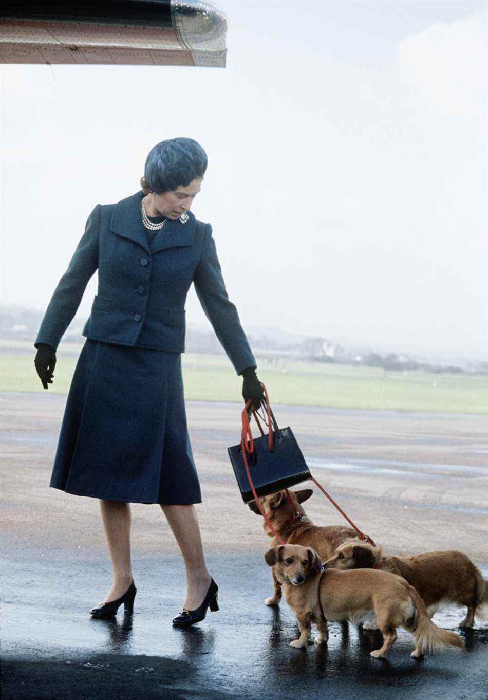 La reine Elizabeth II arrive à l'aéroport d'Aberdeen avec ses corgis pour commencer ses vacances à Balmoral, en Écosse, en 1974. (Getty Images)