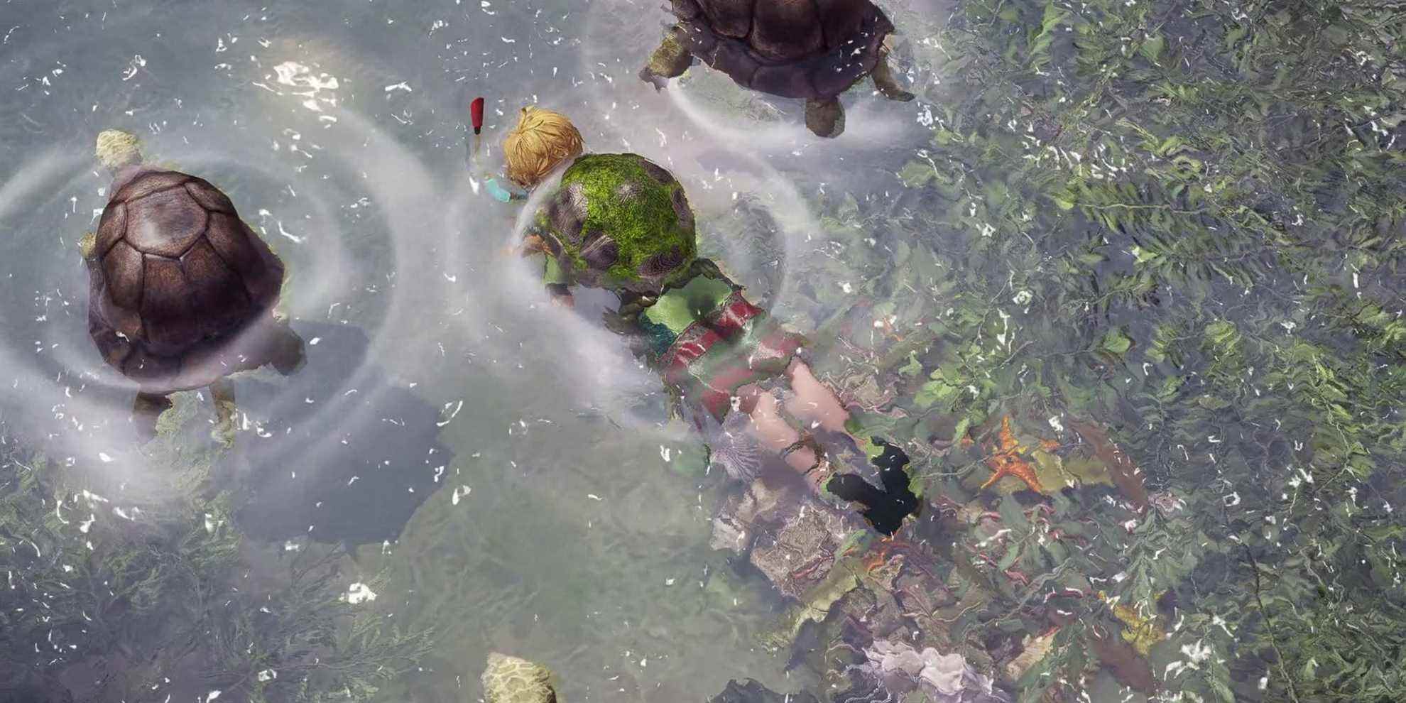 Lost Ark - Turtle Island Boy nage enfin avec les tortues