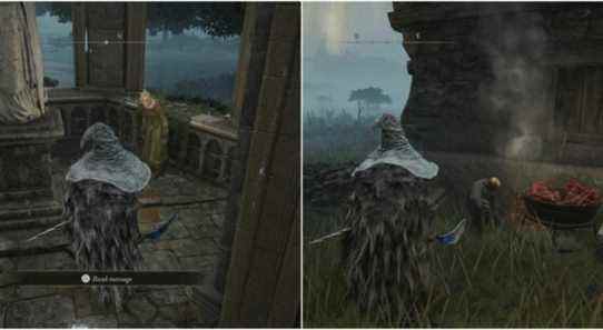 Elden Ring - collage of Rya and Blackguard