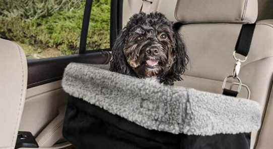 Les meilleurs sièges auto et harnais pour chiens