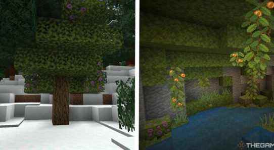 image of azalea tree in snow next to image of lush cave biome
