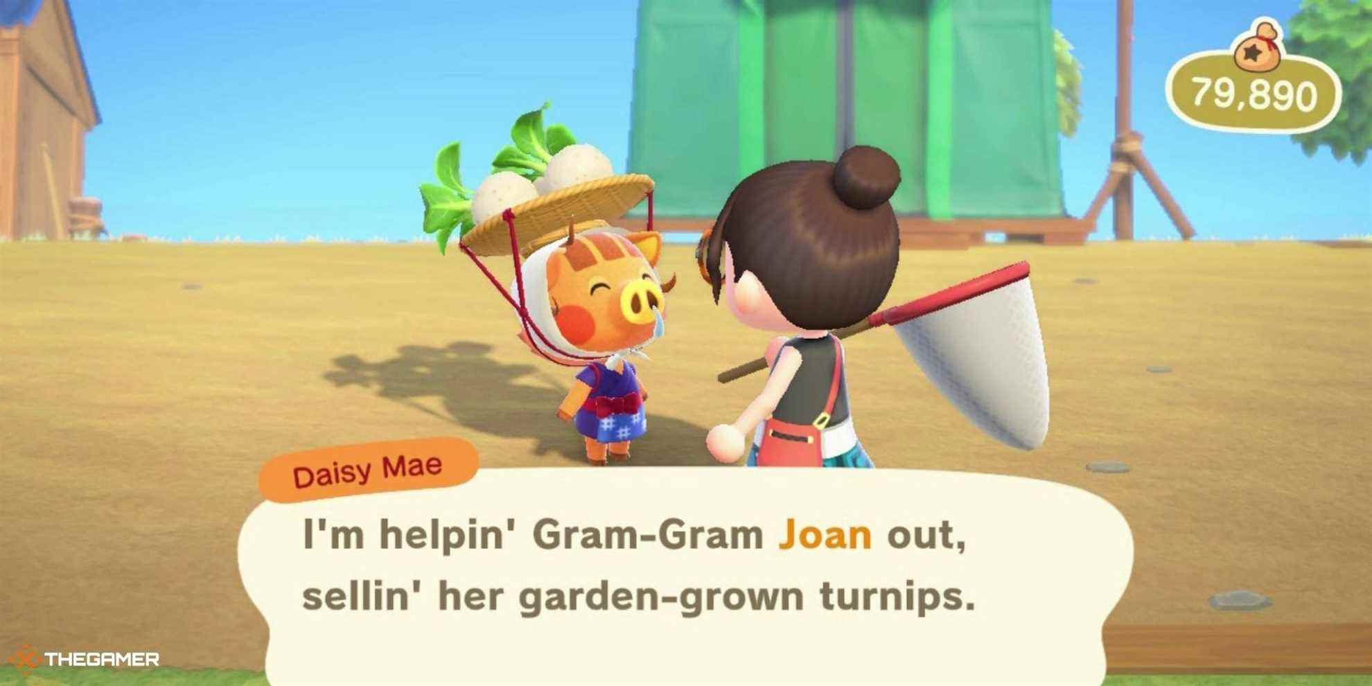 Animal Crossing New Horizons - joueur parlant à Daisy Mae