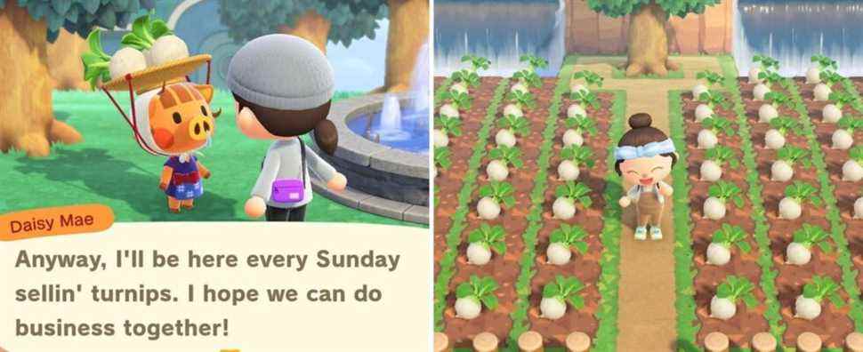 Animal Crossing New Horizons - Daisy Mae on left, player in Turnip garden on right