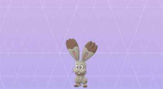 Heure des projecteurs sur Pokémon Go : Bunnelby peut-il être brillant ?