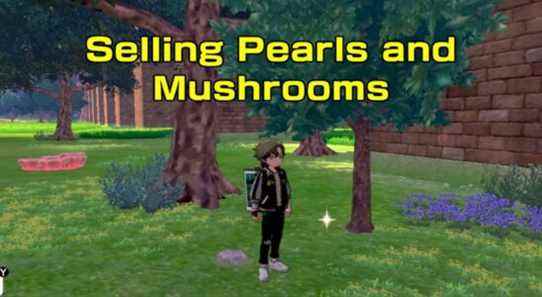 Où vendre des perles et des champignons dans Pokemon Sword and Shield