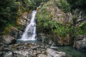La Mina Falls dans la forêt nationale d'El Yunque à Porto Rico.  GETTY IMAGES