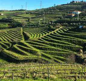 Vignobles le long de la vallée du Douro près de Lamego, Portugal.  Bryan Passifium/Postmédia