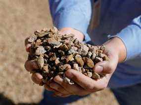 Minerai concassé contenant des minéraux critiques en Californie.