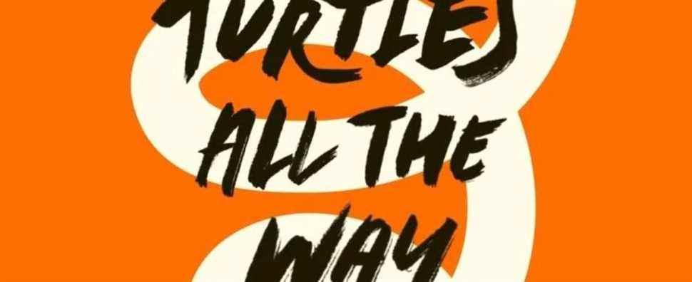 Turtles All the Way Down Book Cover