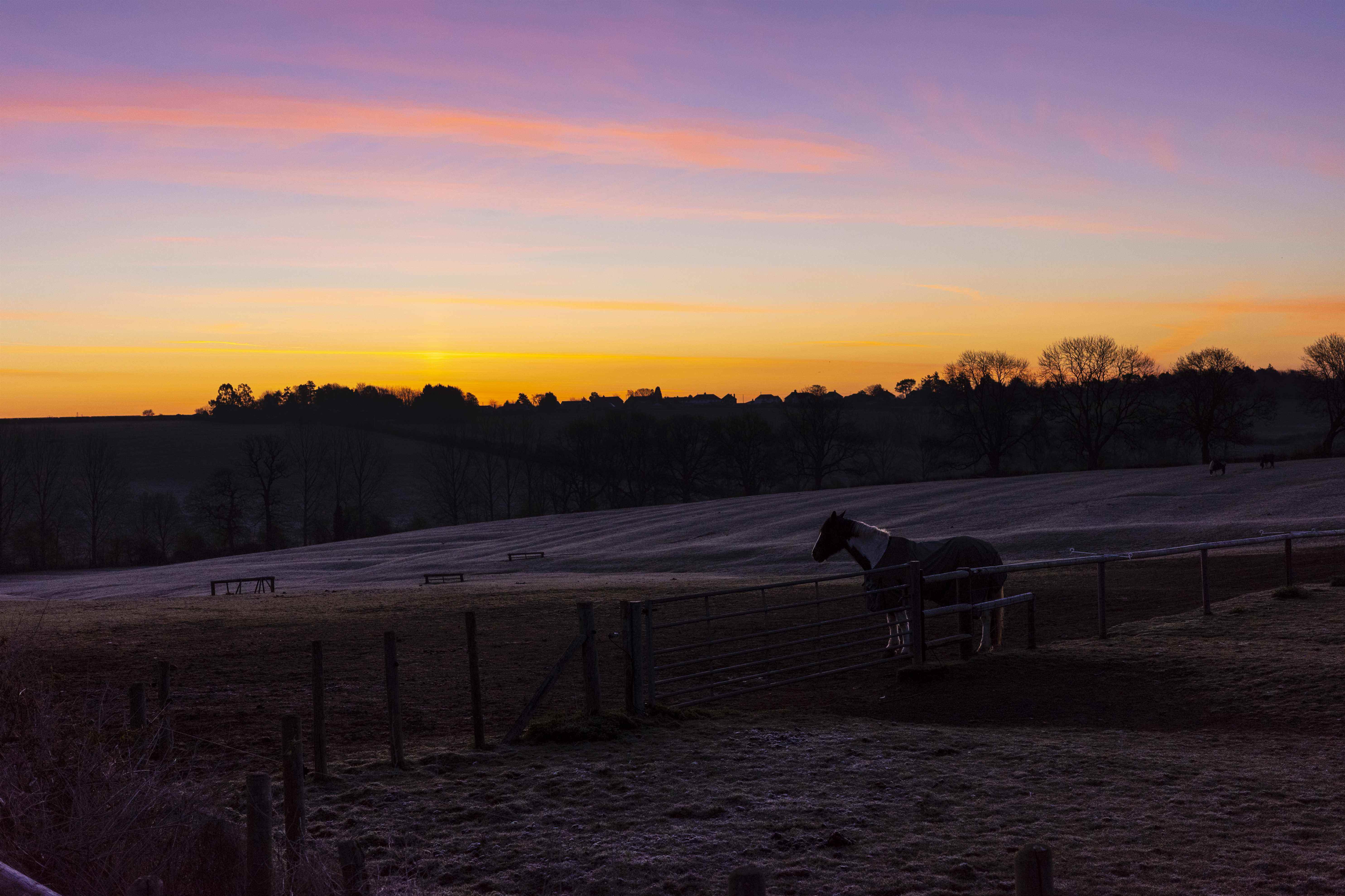 Un coucher de soleil sur un cheval et un champ