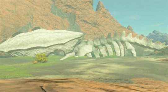 The Legend of Zelda: Breath of the Wild's Eldin Leviathan Bones