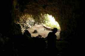 L'archéologue Douglas Hobbs étudie la grotte de Liang Bua où les restes ont été découverts.