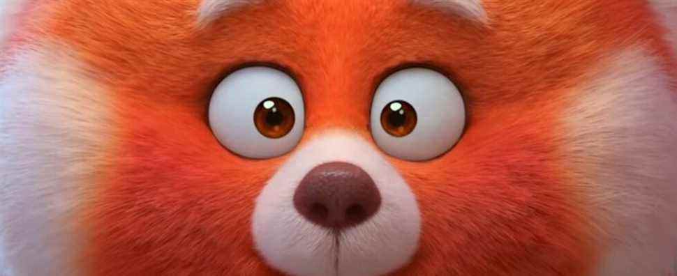 Aléatoire: "Chunky Cute Aesthetic" dans le nouveau film Pixar "Turning Red" influencé par les jeux Nintendo