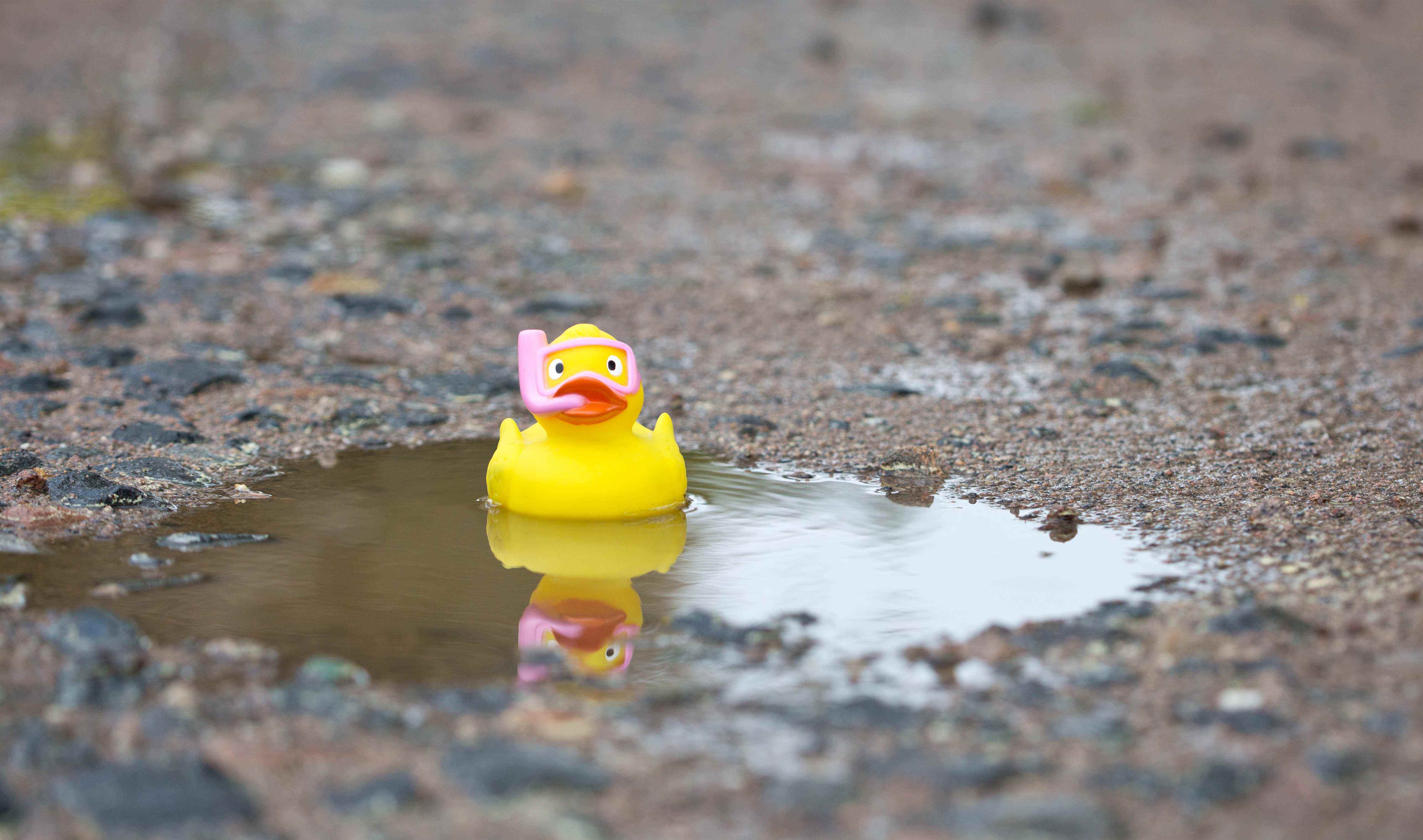 un canard en caoutchouc est assis dans une flaque d'eau solitaire