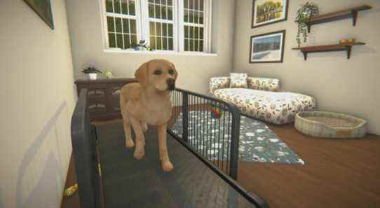 House Flipper obtient un DLC pour animaux de compagnie pour une raison quelconque et il a l'air adorable