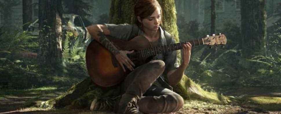 The Last of Us Part 2 Guitar
