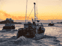 Des bateaux de pêche chargés de casiers prennent la mer depuis le port de West Dover, en Nouvelle-Écosse.