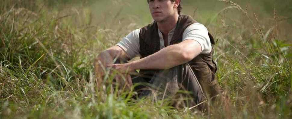 the-hunger-games-liam-hemsworth