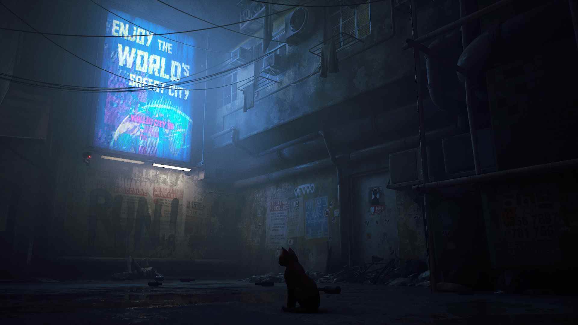 Un chat erre dans les rues lumineuses de Stray