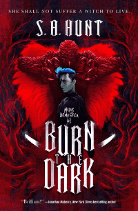 Couverture du livre Burn the Dark par SA Hunt