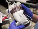 Une poche de sang est montrée dans une clinique à Montréal le 29 novembre 2012.