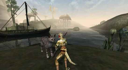 Screenshot Secrets : photographier Stripes le chat de la famille à Morrowind