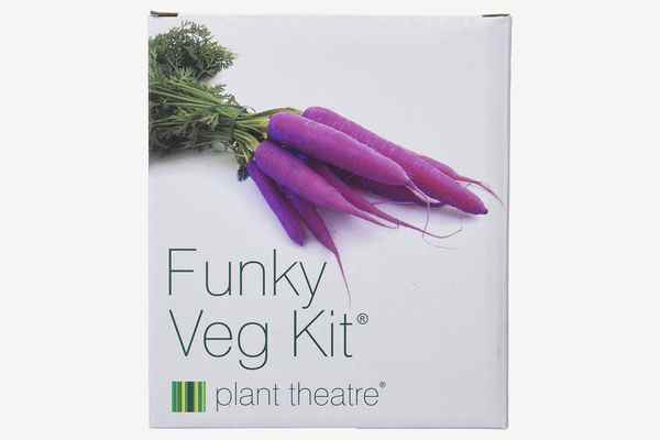 Plant Theatre Funky Veg Kit Coffret Cadeau
