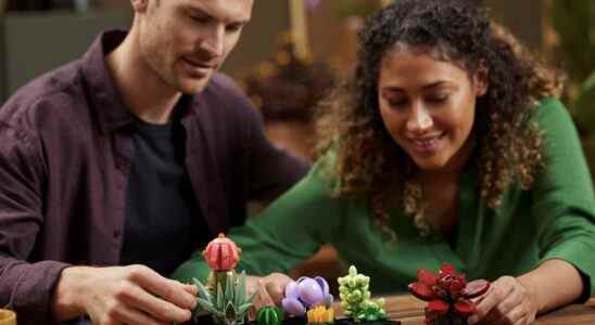 LEGO dévoile le bouquet Succulent rejoignant sa collection botanique