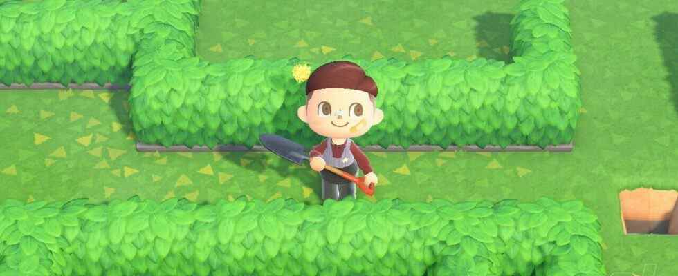 Animal Crossing May Day Maze - Date, heure de début, visites du 1er mai et le "visiteur spécial"