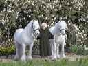 Ce nouveau portrait de la reine Elizabeth II a été publié par le Royal Windsor Horse Show à l'occasion de son 96e anniversaire.  La reine Elizabeth II tient ses poneys Fell, Bybeck Nightingale (à droite) et Bybeck Katie. 