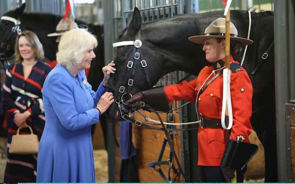 Le couple a également rendu visite à l'événement de promenade à cheval de la Gendarmerie royale du Canada - Ian Vogler 