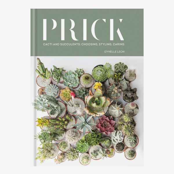 Prick : Cactus et plantes succulentes : choisir, styliser, prendre soin