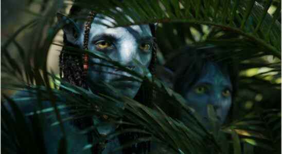 Date de sortie d'Avatar 2, bande-annonce, distribution, suites et plus
