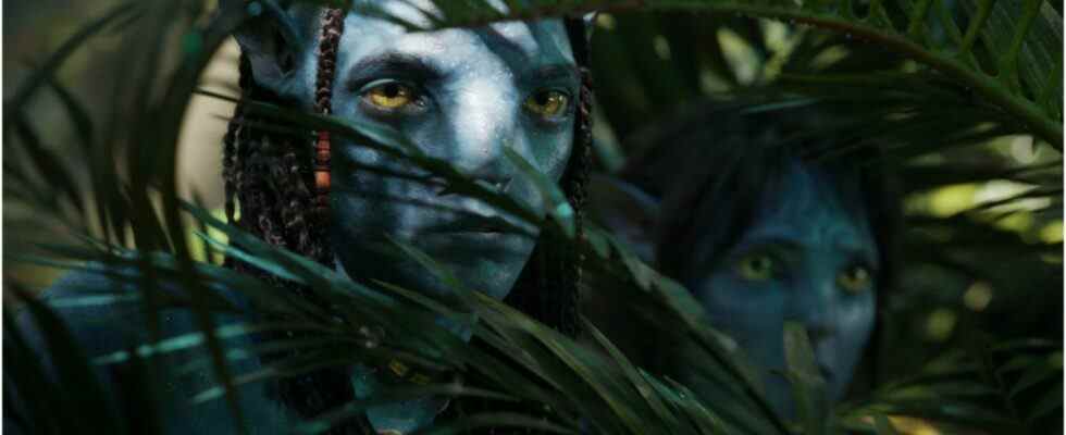 Date de sortie d'Avatar 2, bande-annonce, distribution, suites et plus