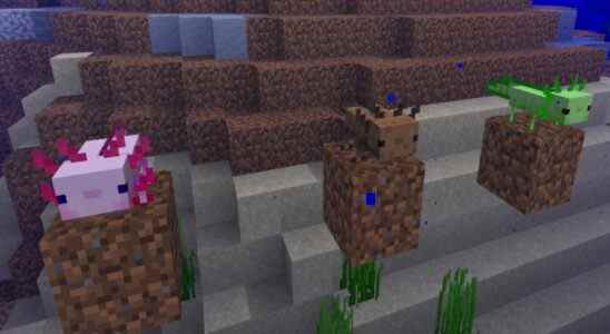 Comment apprivoiser les axolotls dans Minecraft