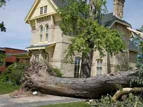 La tempête de samedi a renversé des arbres et causé d'autres dégâts à Uxbridge qui était toujours sans électricité lundi.  (Veronica Henri/Toronto Sun)